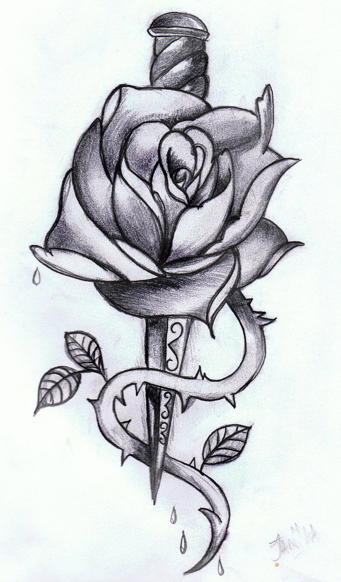 685x1167 Rose Dagger Tattoo Drawing Tattoo Ideas - Tattoo Drawing Images
