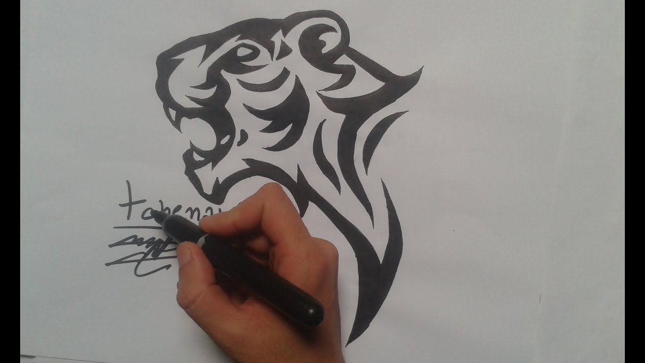 1280x720 How To Draw Tiger Tattoo Tchenays - Tattoo Drawing Images