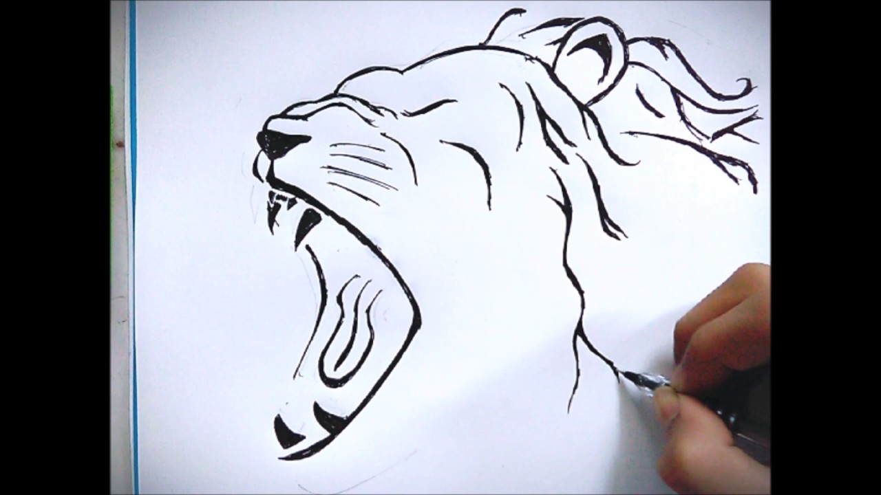 1280x720 How To Draw Lion Tattoo On Paper For Beignners - Tattoo Drawing Paper