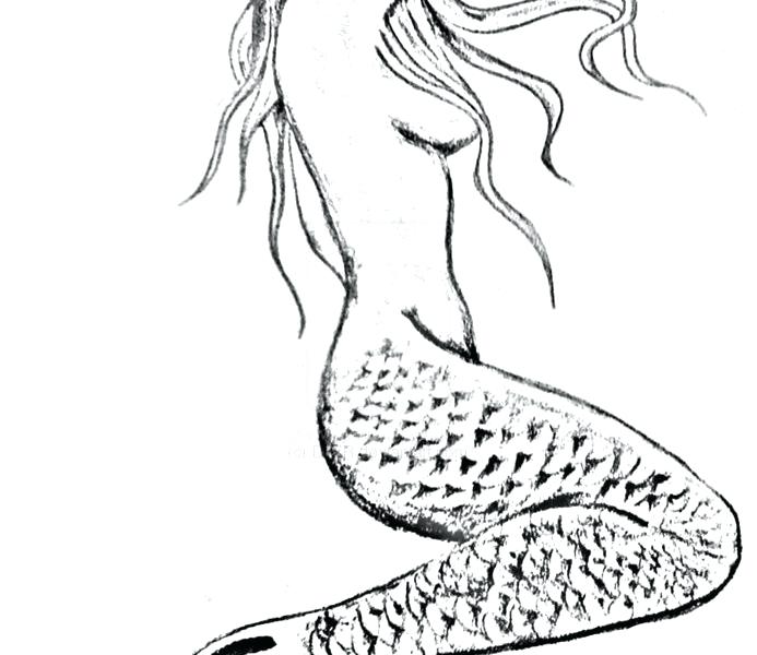 693x600 Drawing Best Paisley Elephant Tattoo Drawing Images - Tattoo Drawing Pictures