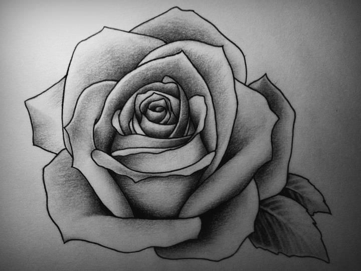 720x540 Drawing Roses Pin Timea Slavic On Tattoo Art - Tattoo Drawing Rose
