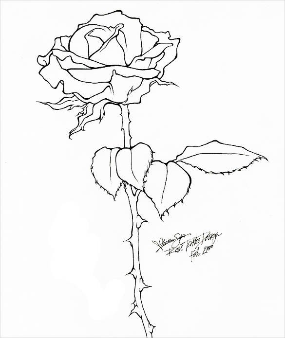 585x695 rose drawings tattoo drawings on rose drawings - Tattoo Drawing Rose