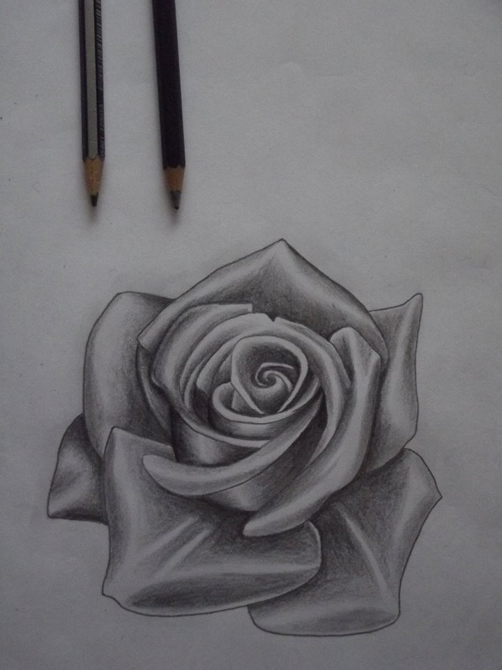 720x960 Rose Tattoo Designs - Tattoo Drawing Rose