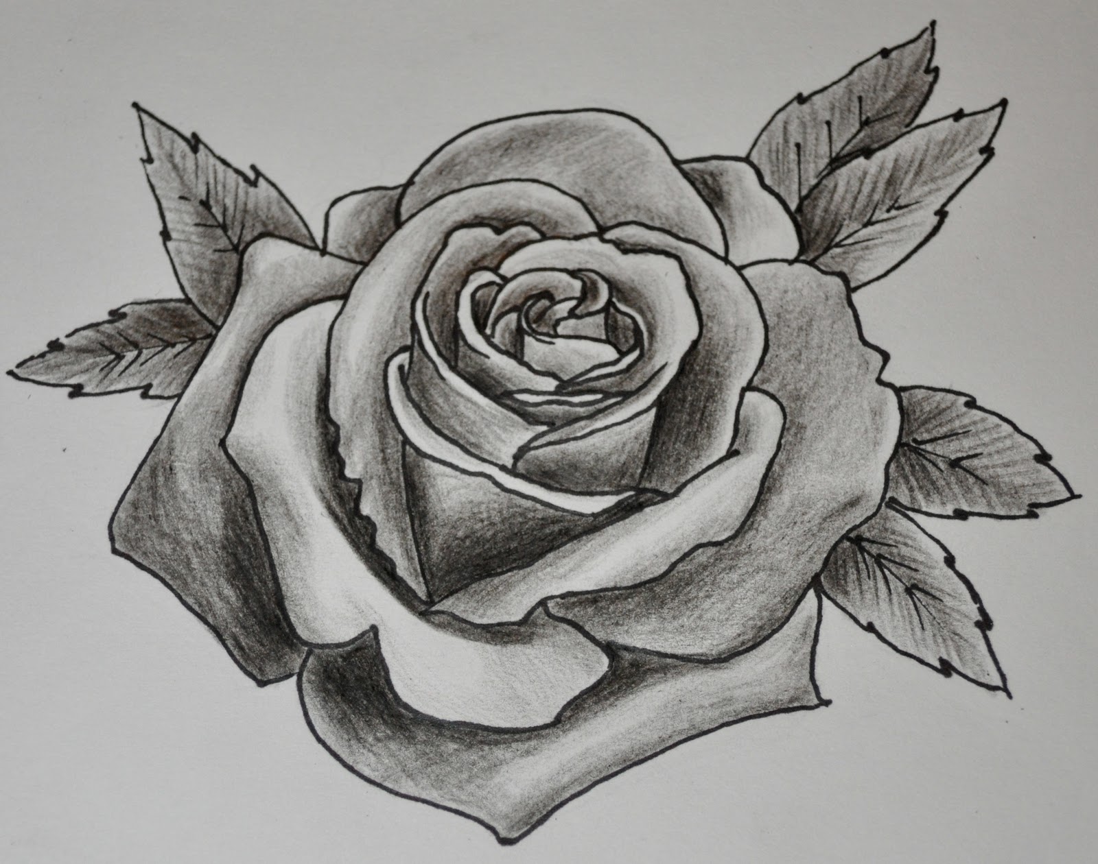 Tattoo Drawing Rose at PaintingValley.com | Explore collection of