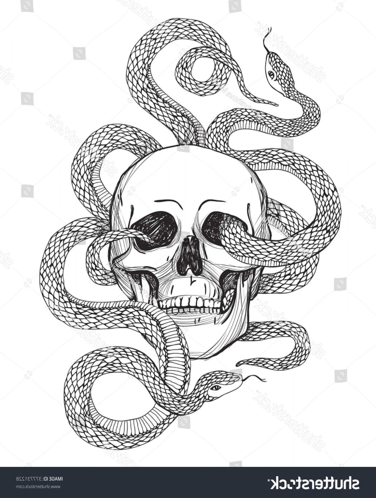 1449x1920 Skull Snake Tattoo Art Coloring Books Soidergi - Tattoo Drawing Skull