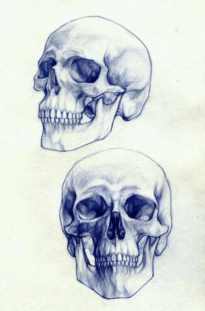 700x1062 Tattoo Drawing Of Skulls Tattoo Art Skull Art Wicked - Tattoo Drawing Skull