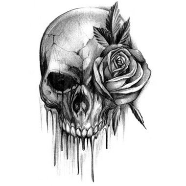 380x380 Tattooorbis - Tattoo Drawing Skull
