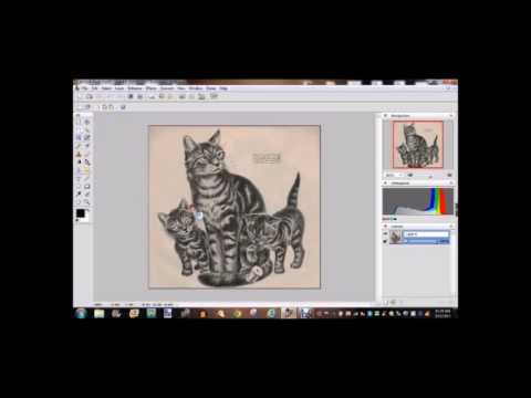 480x360 Free Software For Tattooing Tattoo University - Tattoo Drawing Software Free