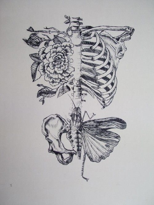 500x667 tumblr skeleton tattoos near wrist tattoo ideas - Tattoo Drawings Tumblr