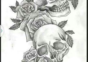 300x210 Skull Drawing Small Best Skull Tattoos For Men Images Tattoo - Tattoo Skull Drawing