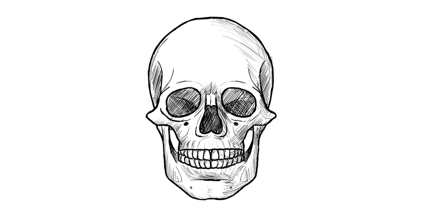 850x433 Drawings Of Skulls How To Draw Skull And Snake Tattoo Skull - Tattoo Skull Drawing