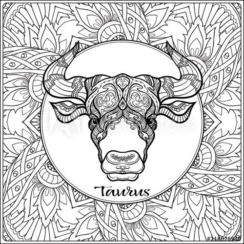 500x500 taurus, bull, ox decorative zodiac sign on pattern background - Taurus Bull Drawing