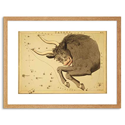 425x425 the art stop painting drawing star map taurus bull - Taurus Bull Drawing