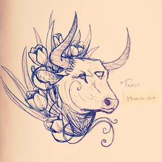 320x320 constellation - Taurus Bull Drawing