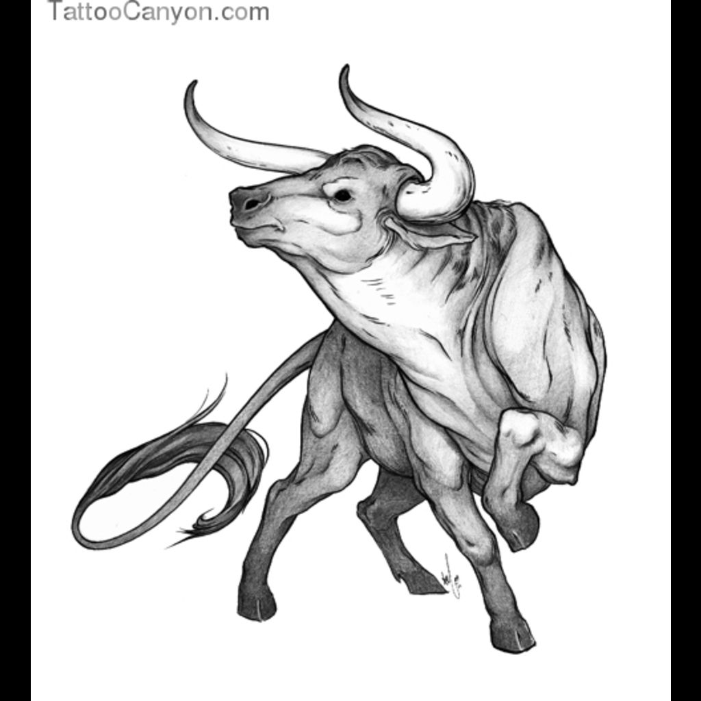 1024x1024 bull head drawing tablet android tattoos bull tattoos, ox - Taurus Bull Drawing