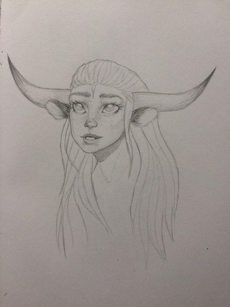 768x1024 taurus amino - Taurus Drawing