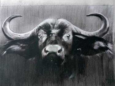 375x281 taurus drawing - Taurus Drawing