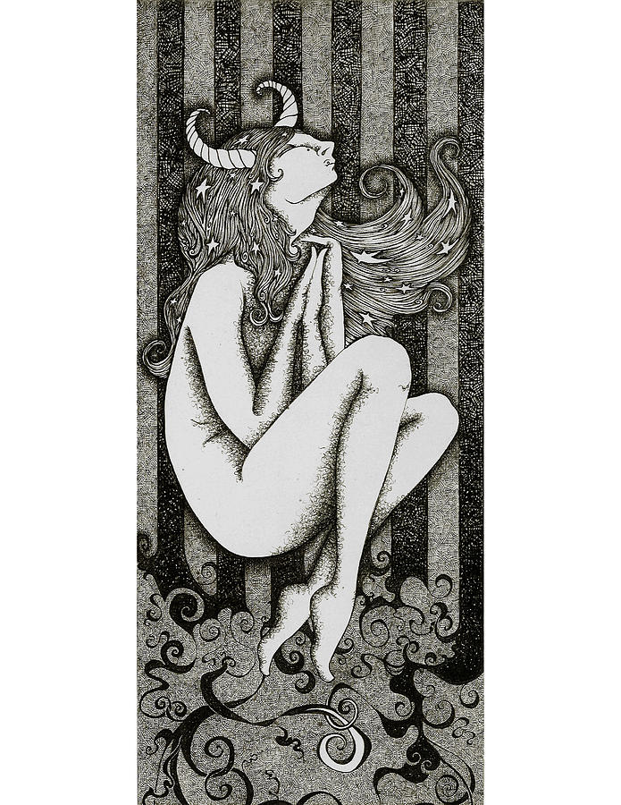 695x900 taurus drawing - Taurus Drawing