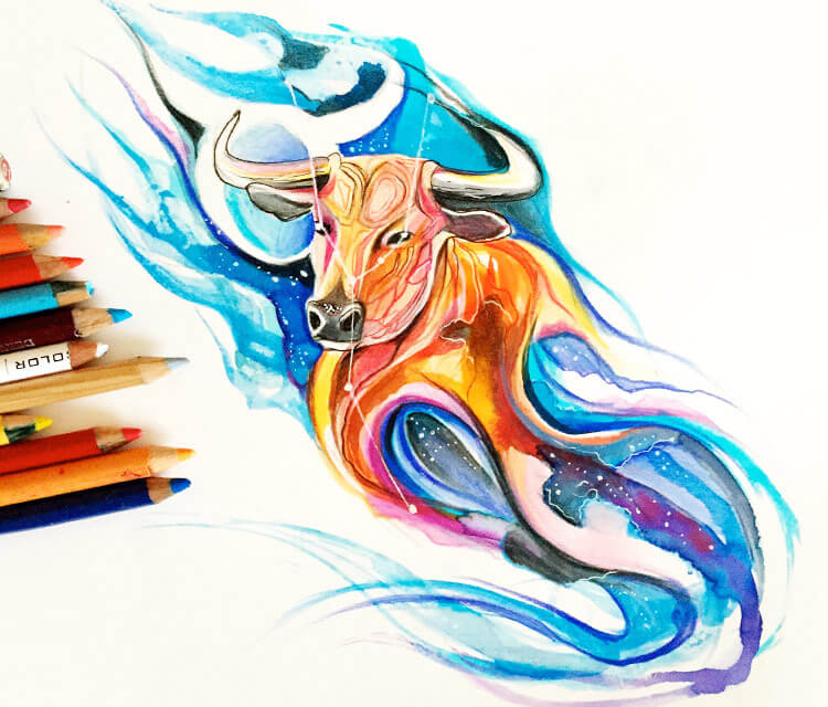 750x640 taurus color drawing - Taurus Drawing