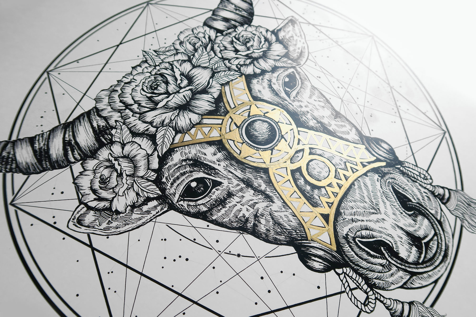 2000x1333 taurus terryemi - Taurus Drawing