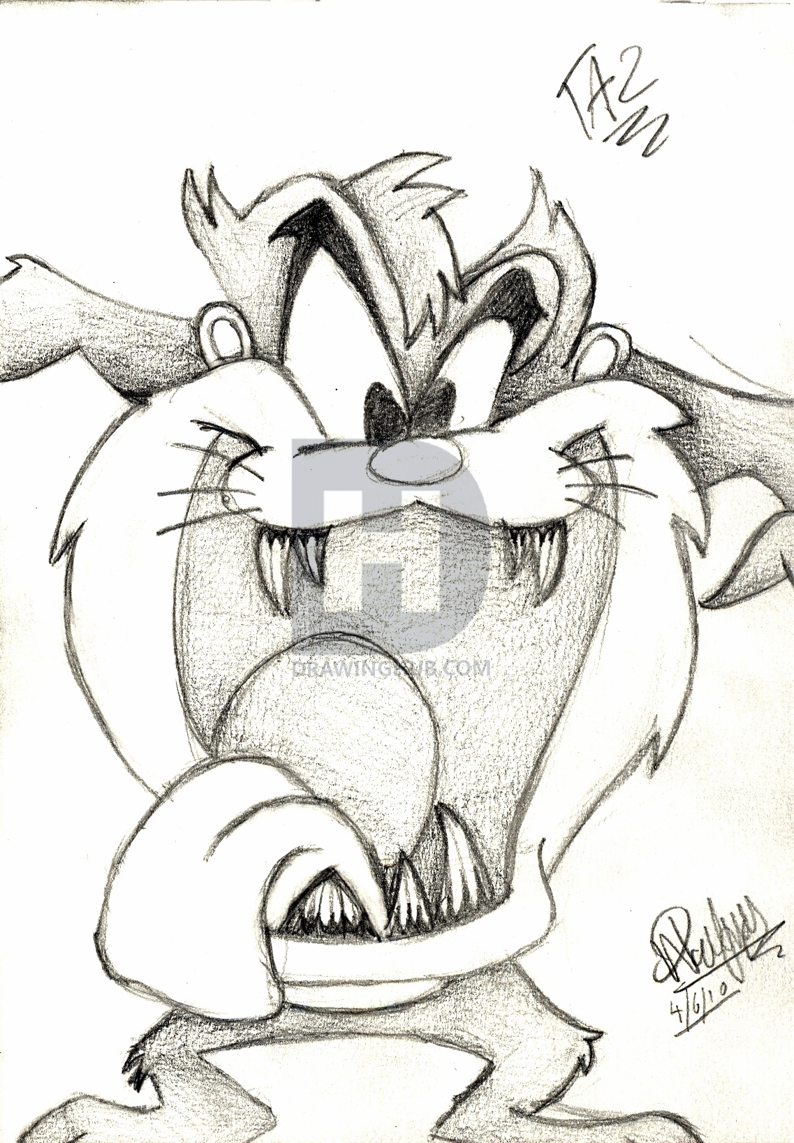 1137x1637 taz drawing - Taz Drawing