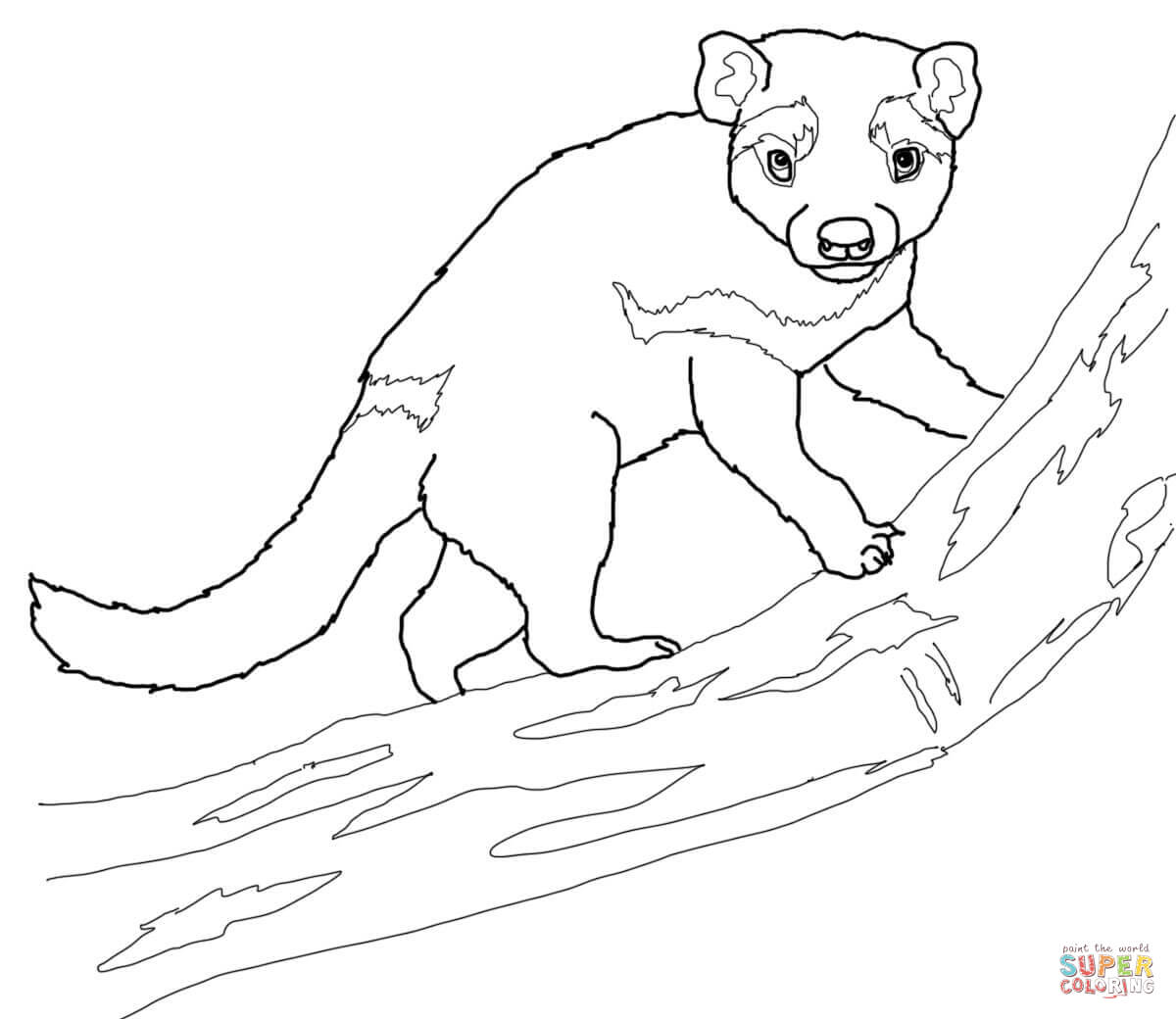 1200x1040 how to draw a tasmanian devil easy - Tazmania Drawing