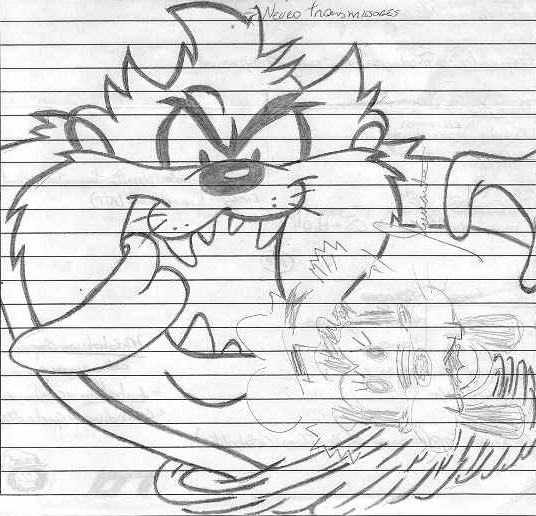 536x516 taz mania watch - Tazmania Drawing