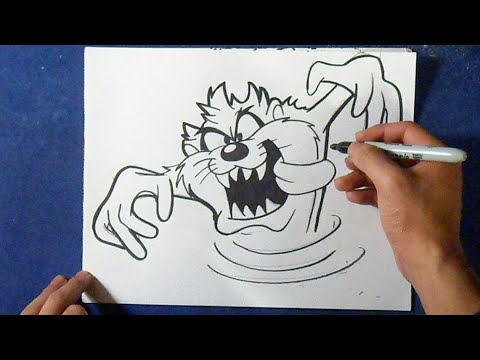 480x360 dibujar a taz - Tazmania Drawing