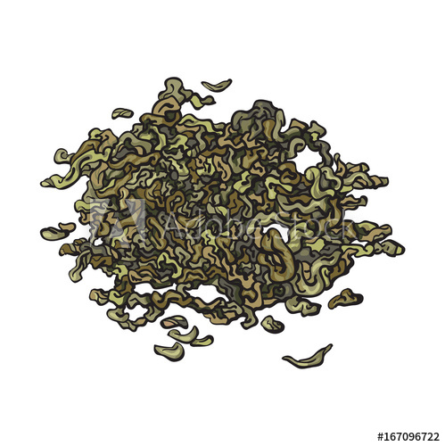 499x500 Hand Drawn Pile, Heap, Handful Of Dry, Fermented Green Tea Leaves - Tea Leaves Drawing