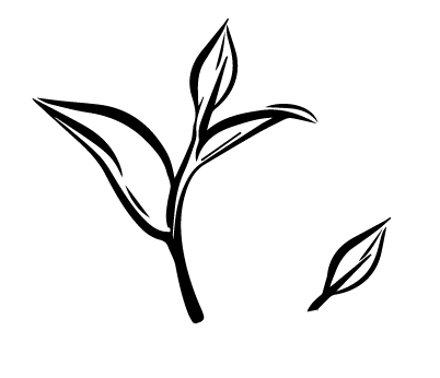 402x346 Tea Leaves Clipart Great Free Clipart, Silhouette, Coloring - Tea Leaves Drawing