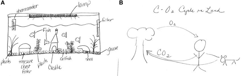 850x267 A Teacher Drawing Of A Model Of An Aquarium - Teacher Drawing