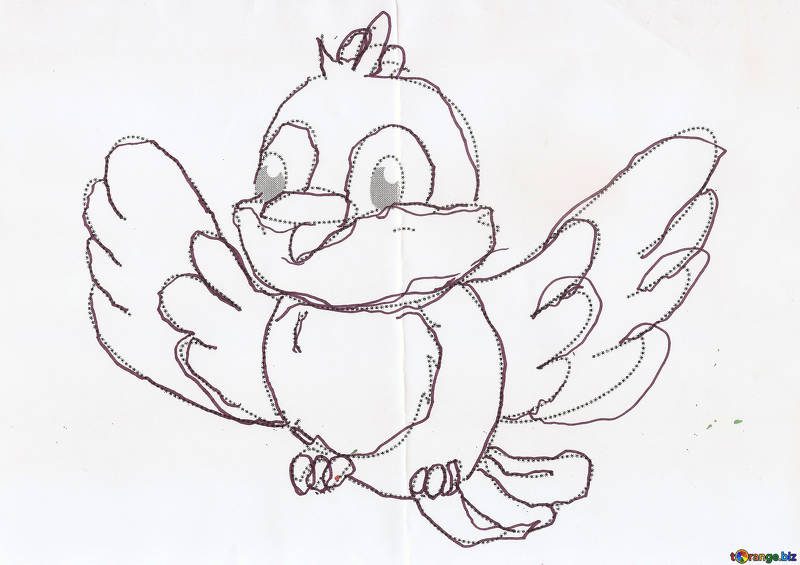 800x565 baby bird pictures teaching drawing bird - Teaching Drawing