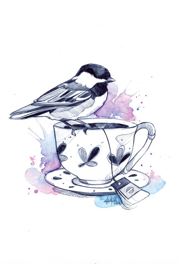570x839 Tea Cup Birds Print Bird Drawing Watercolor Etsy - Teacup Drawing