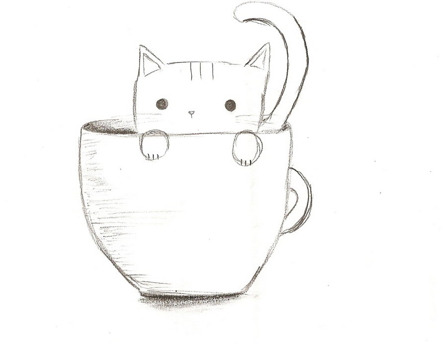 900x695 Tea Tumblr - Teacup Drawing Tumblr