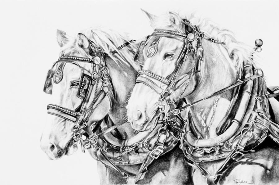 900x596 Teamwork Drawing - Teamwork Drawing