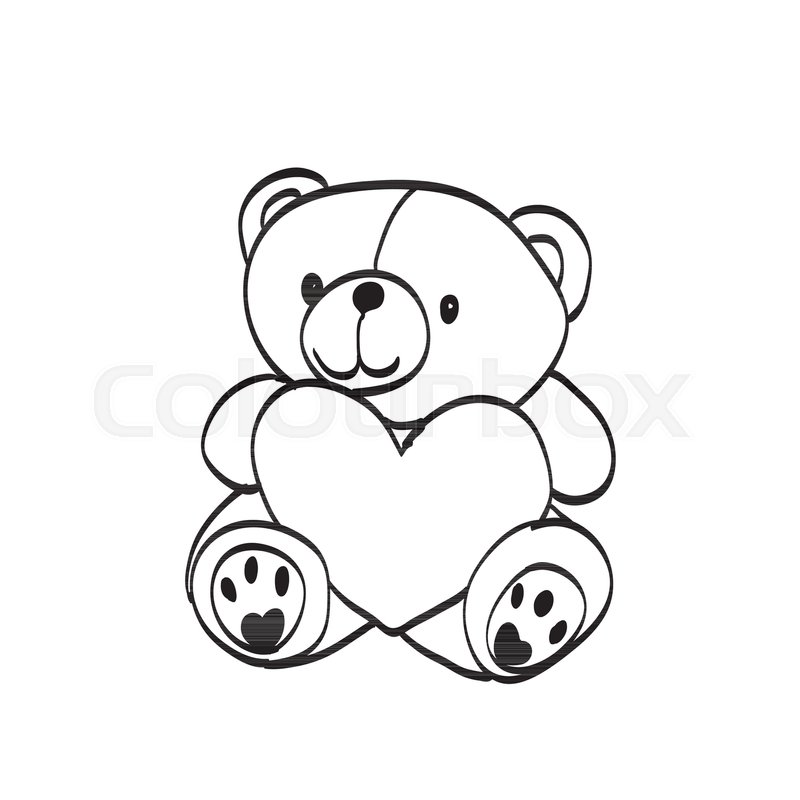 800x800 Teddy Bear Sketch Drawing On A White Stock Vector Colourbox - Teddy Bear Drawing