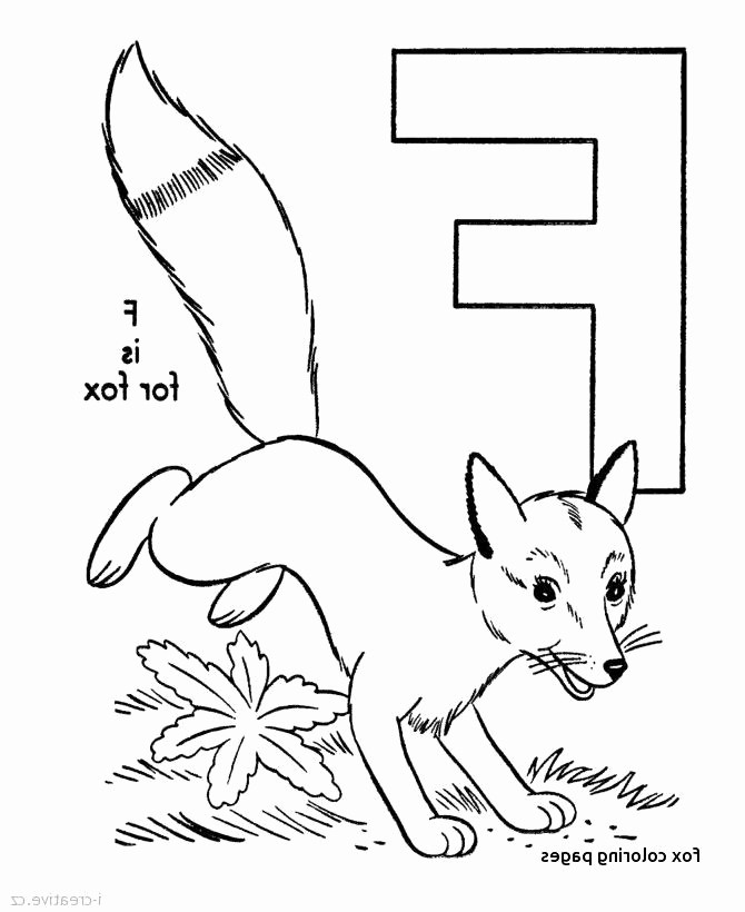 670x820 girl teddy bear coloring pages fresh teddy bear color pages - Teddy Bear Drawing Images