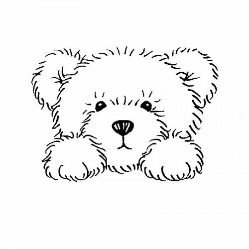 500x500 Let's Be Candid - Teddy Bear Face Drawing