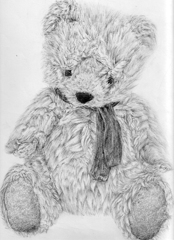 Teddy Bear For Drawing
