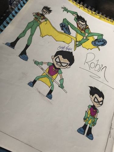 375x500 Robin - Teen Drawings
