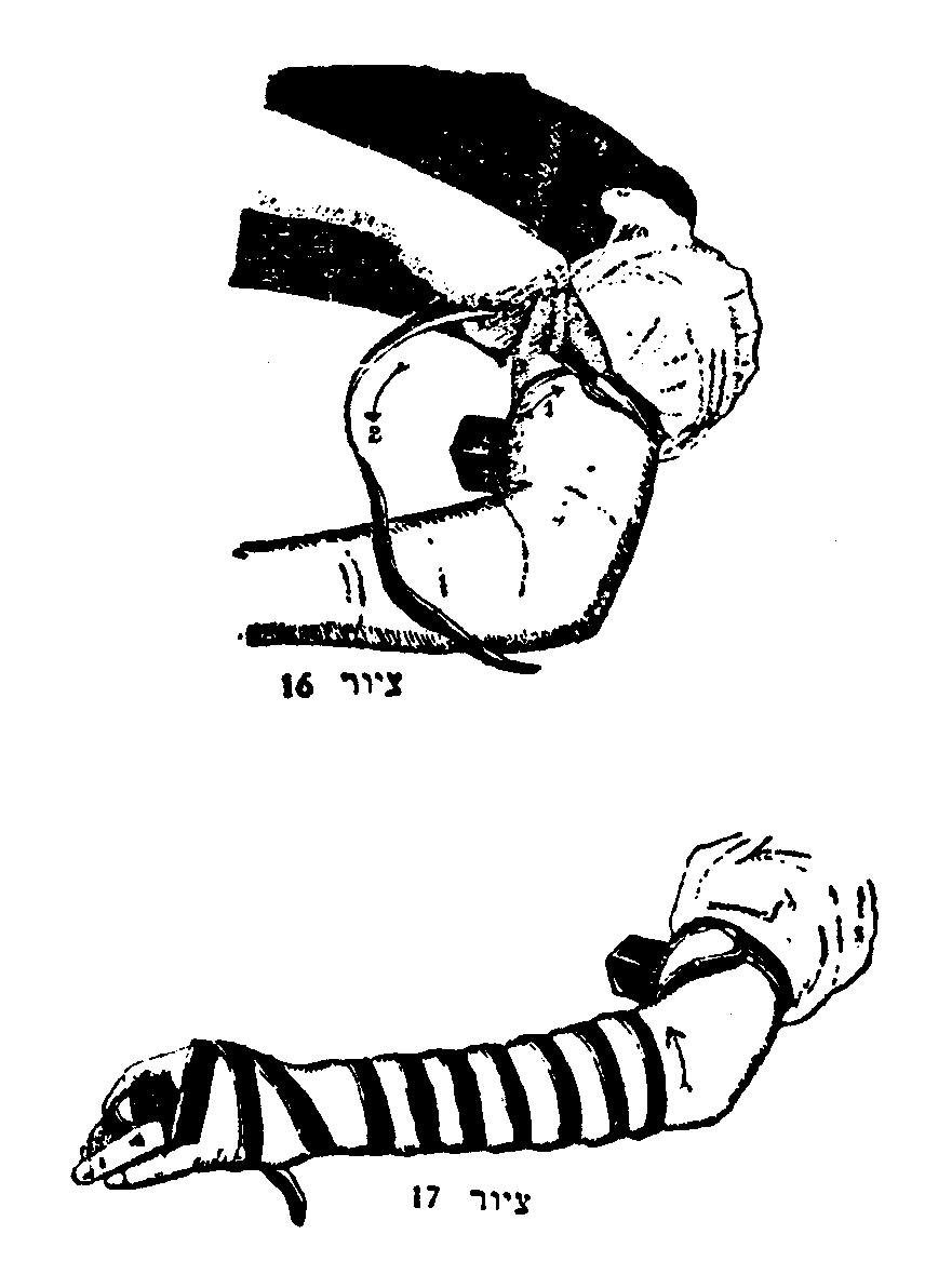 856x1192 The Mitzvah Of Tefillin - Tefillin Drawing