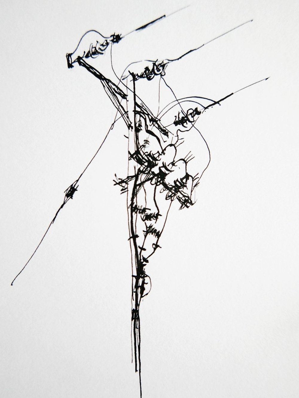 1000x1332 Life Drawing - Telephone Pole Drawing