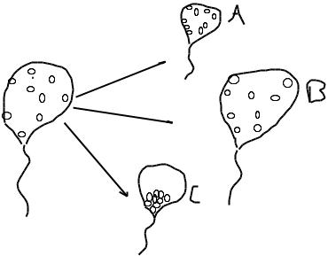 370x289 which of the drawings in the figure best illustrat - Temperature Drawing