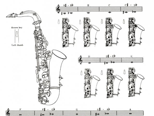 640x480 drawn saxophone tenor saxophone - Tenor Saxophone Drawing