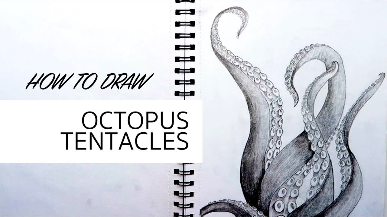 1280x720 How To Draw Octopus Tentacles - Tentacles Drawing