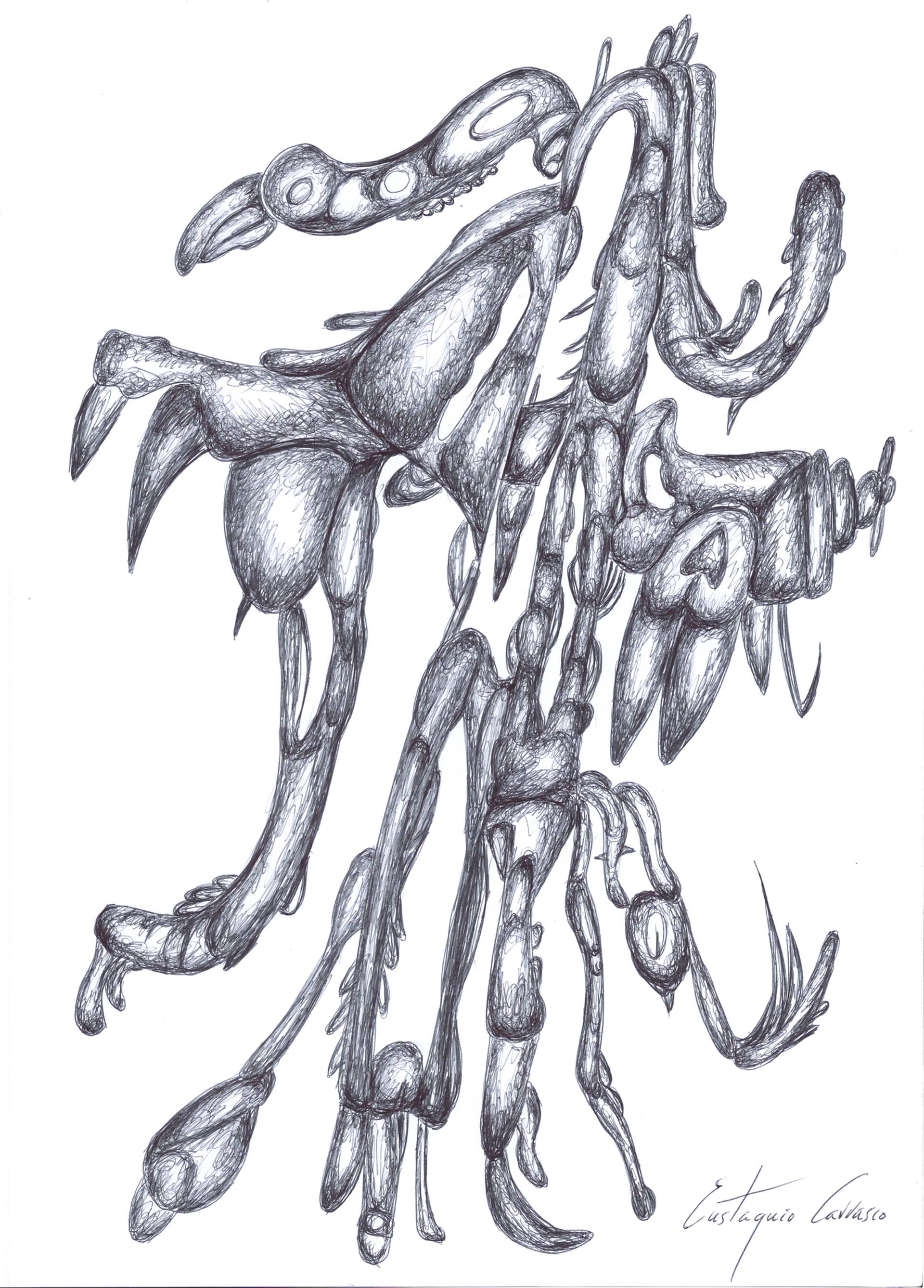 1920x2675 Marine Animal That Spreads Its Tentacles Drawing - Tentacles Drawing