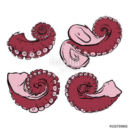 500x500 Vector Tentacles Drawing On A White Background Hand Drawn Monoc - Tentacles Drawing