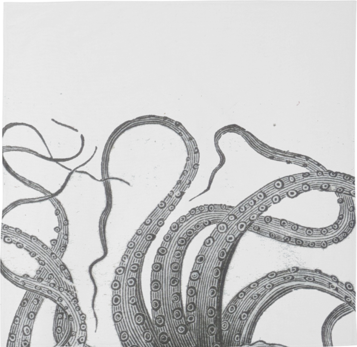 1196x1164 Collection Of Free Tentacle Drawing Transparent Download On Ui Ex - Tentacles Drawing