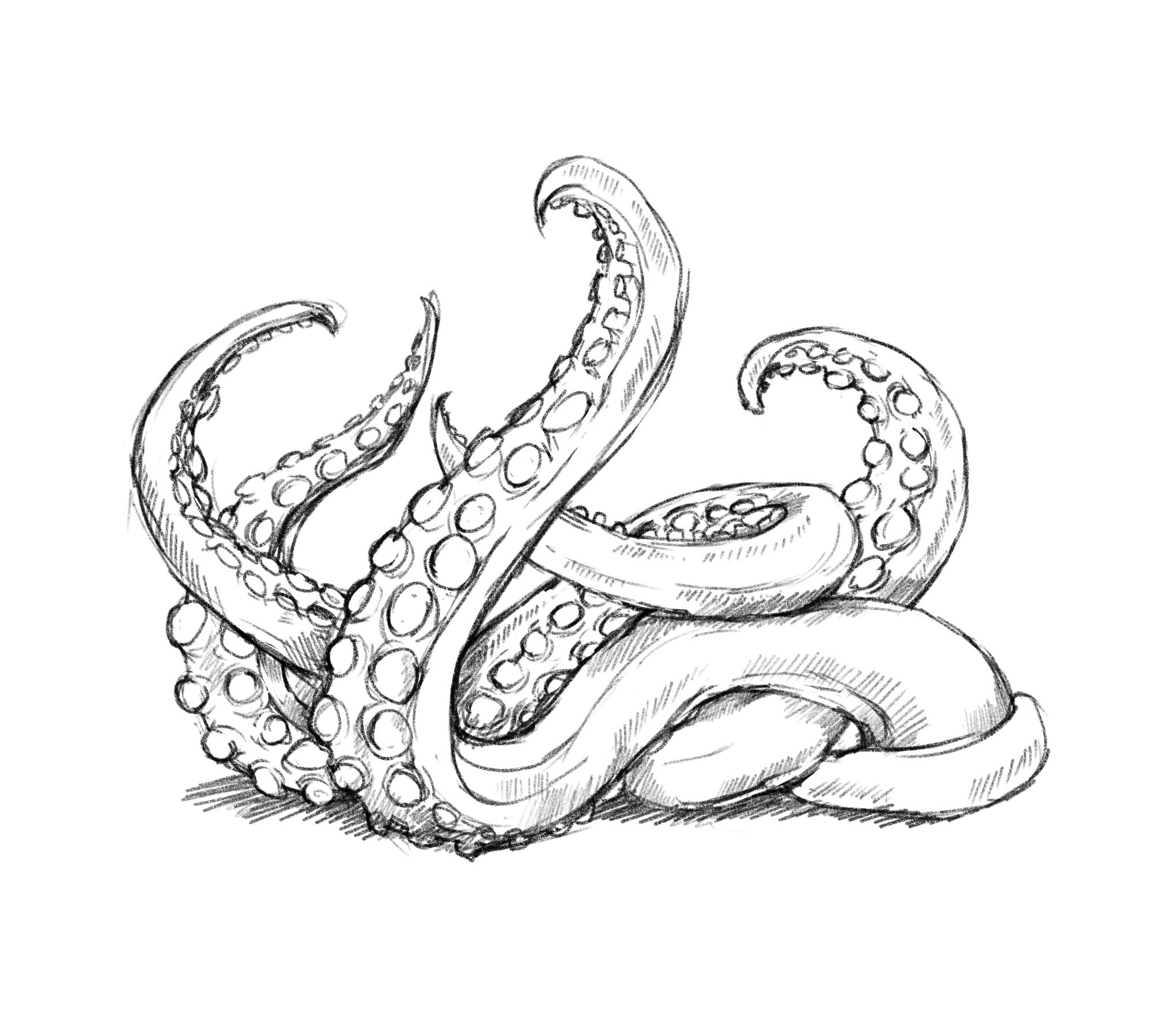 Tentacles Drawing at Explore collection of