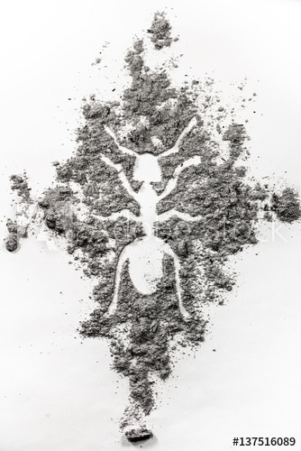 334x500 the ant, termite drawing silhouette made in dust, dirt, ash as - Termite Drawing